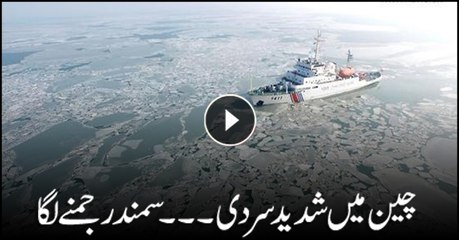 Sea freezes in extreme Chinese winter
