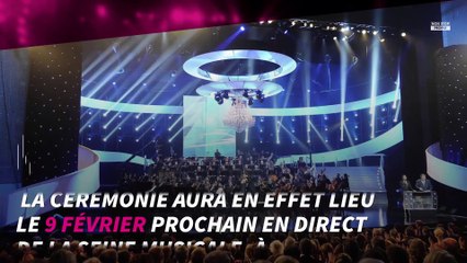 Victoires de la musique 2018 : Sting président d’honneur