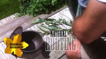 Natural Organic Rooting Hormone- Propagate Plant Cuttings Mix