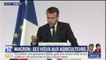 Macron sur le plan loups : "Il faut protéger les troupeaux par tous les moyens"