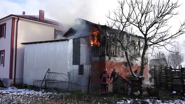 Büyükbaş hayvanlar itfaiye ekiplerince kurtarıldı - SAKARYA