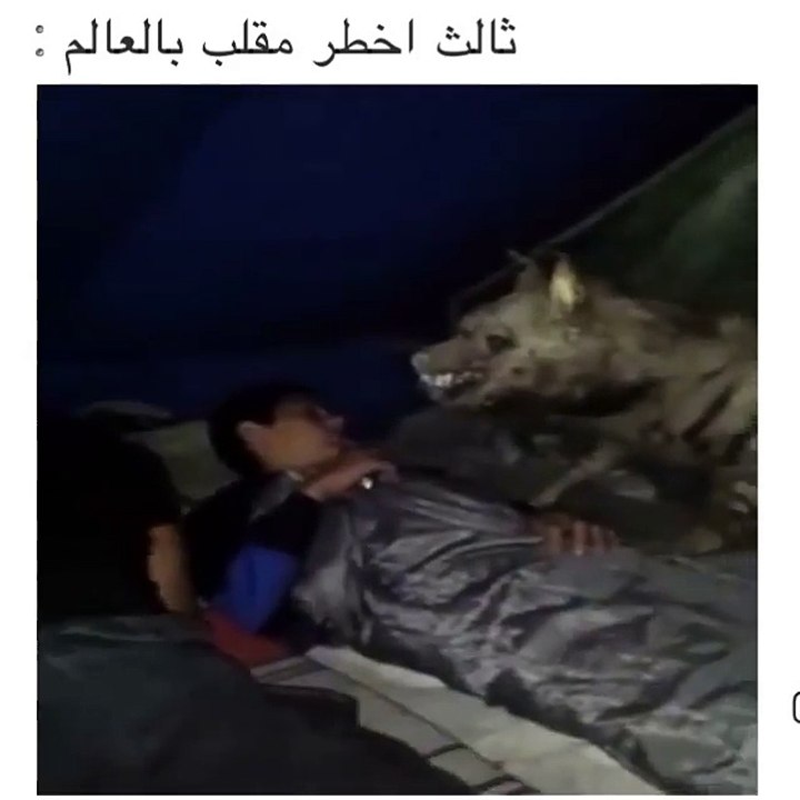Créant prank arabic 2018