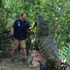 Ohh mmeziing watch 2018