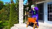Frozen Elsa vs Catwoman MAKEUP ATTACK w  Spiderman Joker Toys Fun Superhero Movie in real life IRL | Superheroes | Spiderman | Superman | Frozen Elsa | Joker