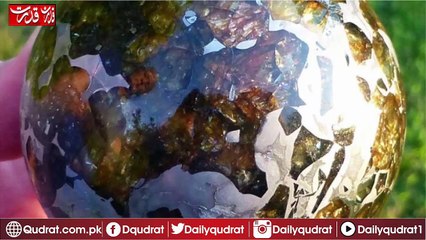 By looking at pictures you'll really say I've seen everything