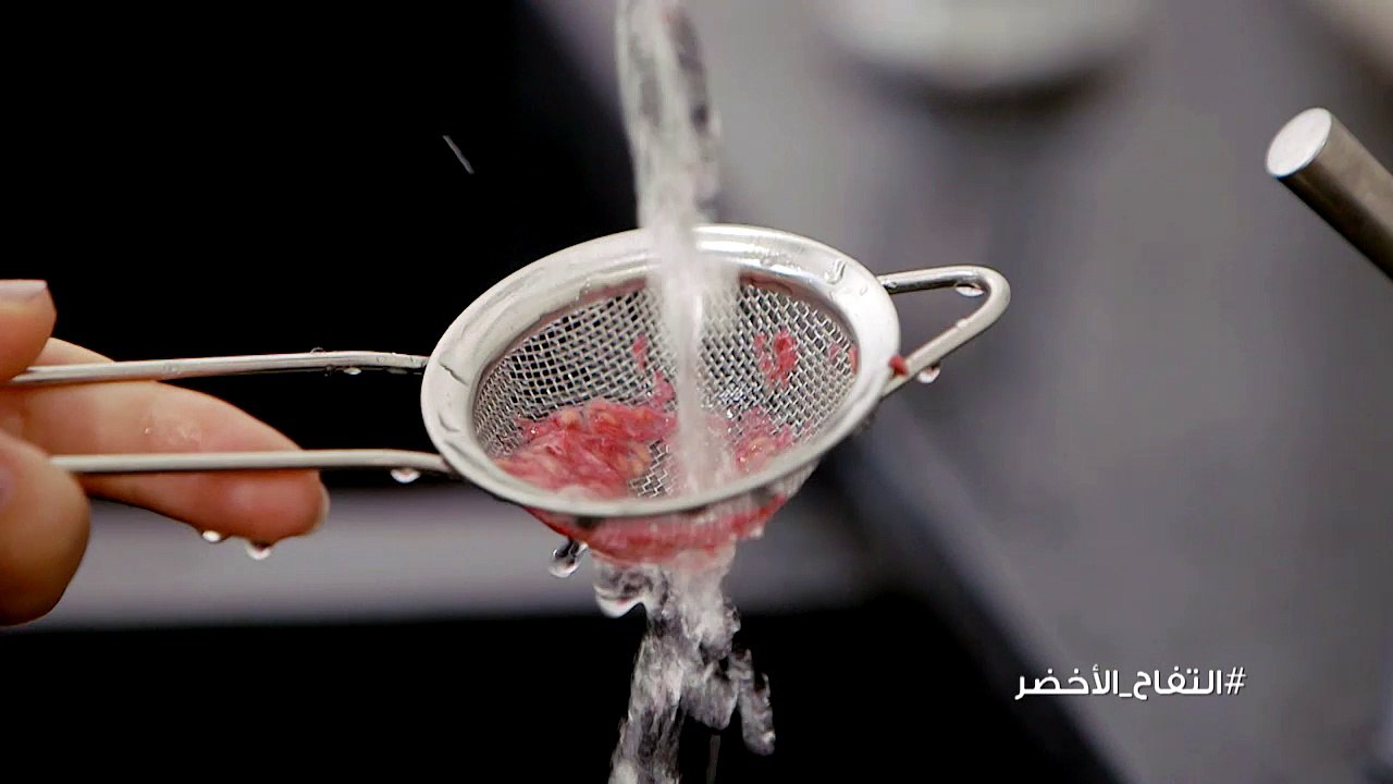 ‏تعلم خطوات سهلة لزراعة التوت في المنزل ‎