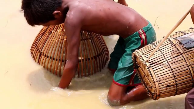 Amazing Three Boys Catch Fish Using Bamboo Fishing Trap