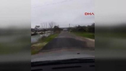 Mersin-Köpeği Aracının Arkasından Sürükledi