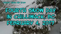 Fourth Snow Day in Chilliwack, BC, February 4, 2017