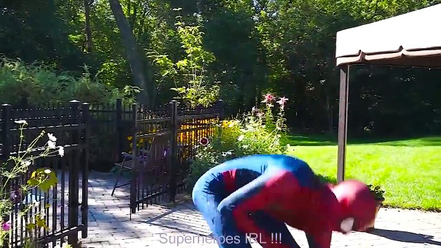 Spiderman CUTS Frozen Elsa Hair! w Fairy Godmother Captain America Joker Fun Superhero in real | Superheroes | Spiderman | Superman | Frozen Elsa | Joker