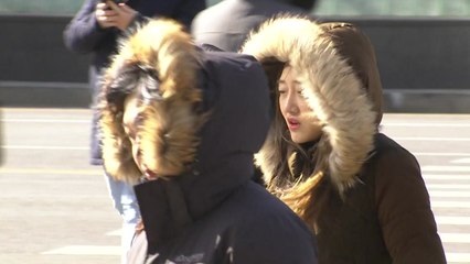 한강도 폭포도 얼었다...오늘 한파 절정 / YTN