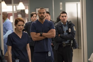 Grey's Anatomy ~ Season 14 Episode 11 [S14E11] Watch Series