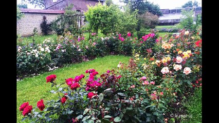 jardins du coeur 2018