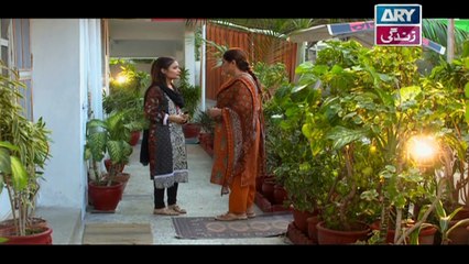 Haya Kay Rang Episode 227 In High Quality on Ary Zindagi 25th January 2018