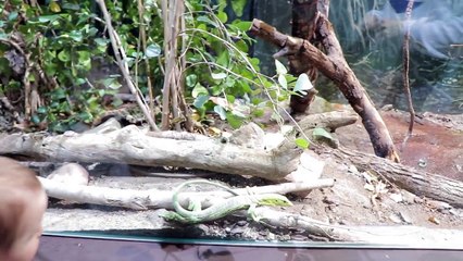 You Would Never Believe What She Took!