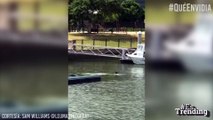 ¡Inesperada visita! Un delfín saluda a un hombre entrando en el canal de su patio trasero