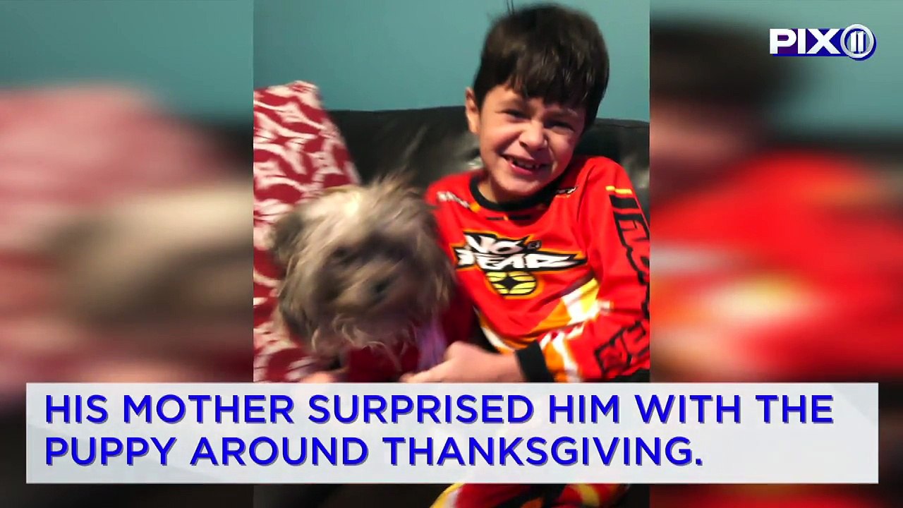 Dog Belonging to Boy With Muscular Dystrophy Goes Missing