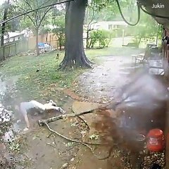 You can't stop laughing after watching this video