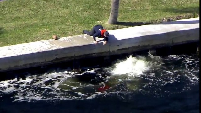 Piégé dans un gilet de sauvetage cet animal marin est sauvé !