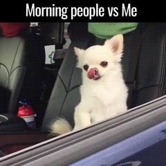 After working graveyard and now going into work at 8am..... - funny