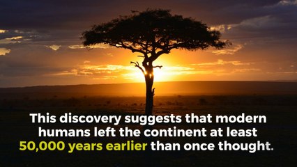 Scientists discover oldest known human fossil outside of Africa