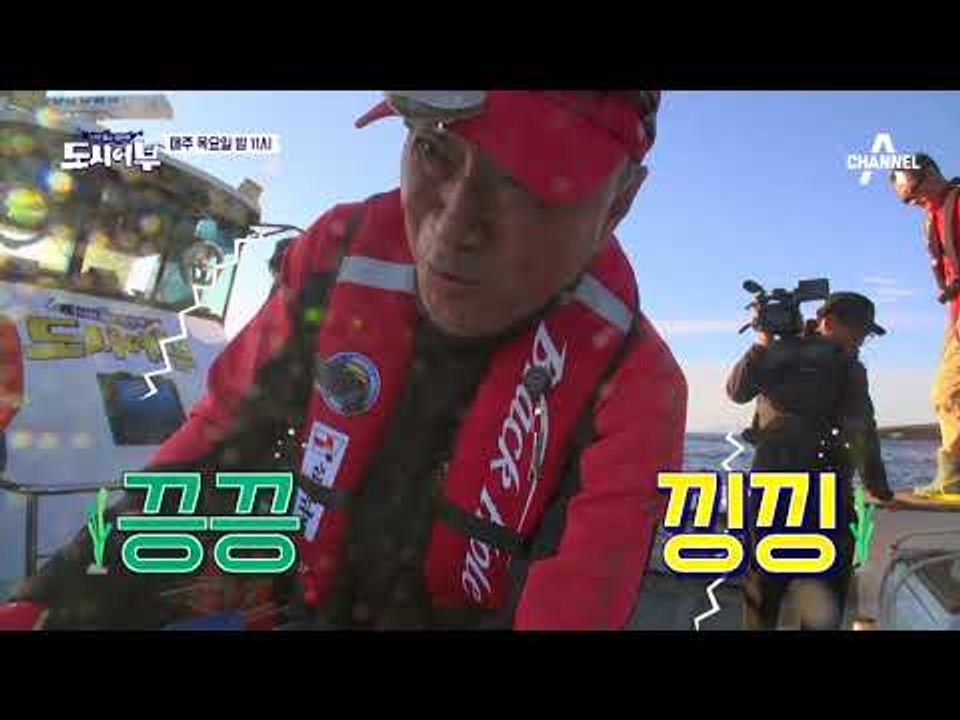 [도시어부 선공개] 강력한 부시리 힘에 부쳐 이덕화 입수 위기