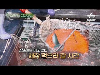 [유쾌한 삼촌 예고] 고등어마을 욕지도에서 찾은 국민생선 ‘착한 고등어’