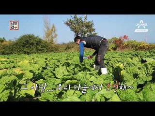 [서민갑부 예고] 김장철 매출 15억 원! 배추밭 그 사나이