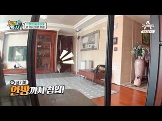 [개밥남 예고] 비글 남매의 견생 첫 산책! 무사히 끝날 수 있을까?