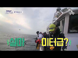 [도시어부 선공개] 왔다!왔다! 경규-마닷 미터급 대물 더블히트!!