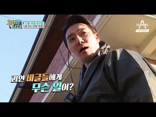 [개밥남 예고] 쌤&애리의 배다른 형제! 비글 보호소에 방문한 이태곤!