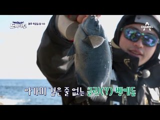 [도시어부 선공개] 마닷, 긴꼬리벵에돔 신대륙 발견! 벵에돔 두 마리로 선두
