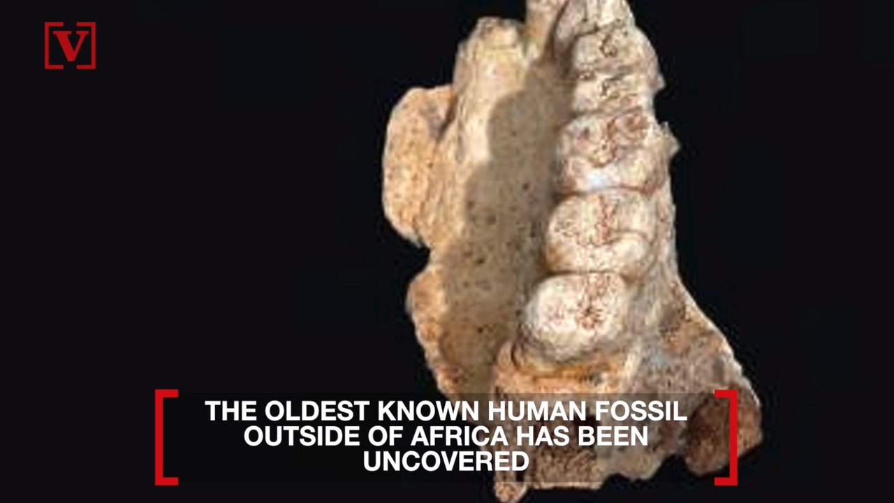 Oldest Human Fossil Found Outside of Africa Means We Migrated Earlier Than We Knew