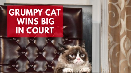The owners of Grumpy Cat sue for $710,000 and win