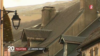 Pollution lumineuse : comment faire revenir la faune