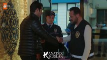 Cemre’yi polise yem eden Kaan! - Kanatsız Kuşlar 31.Bölüm