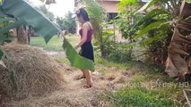 Wow! Incredible Girl Catch Village Snake with Hand / How To Catch Village Snake In My Village