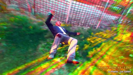 GTA 5 - Peyote Plants Location Guide (Play as an Animal)