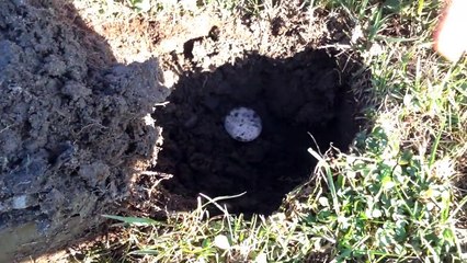 Metal Detecting a Wild West Stage Stop. Finding Guns and BIG Silver coins!