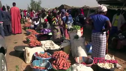 REPLAY - JT Français 20h - Pr : CHEIKH TIDIANE DIAHO - 25 Janvier 2018