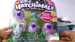 Hatchimals colleggtibles Nederlands - nieuwe eieren voor mijn bewaarbakje