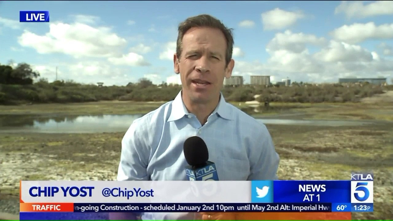 Rehabilitated Pelican Found Injured in Fishing Net Released Back into Wild