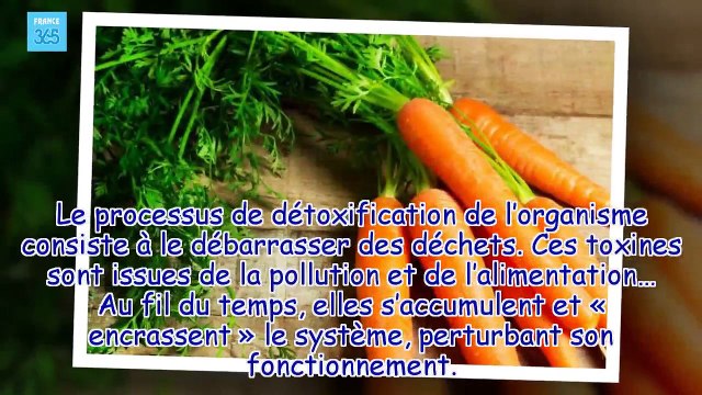 Ces boissons qui détoxifient le foie et qui font fondre les graisses France 365