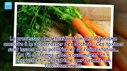 Ces boissons qui détoxifient le foie et qui font fondre les graisses France 365
