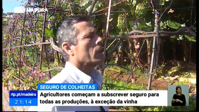 Novo Seguro de Colheitas para todas as culturas feitas na Madeira, excepto a Vinha