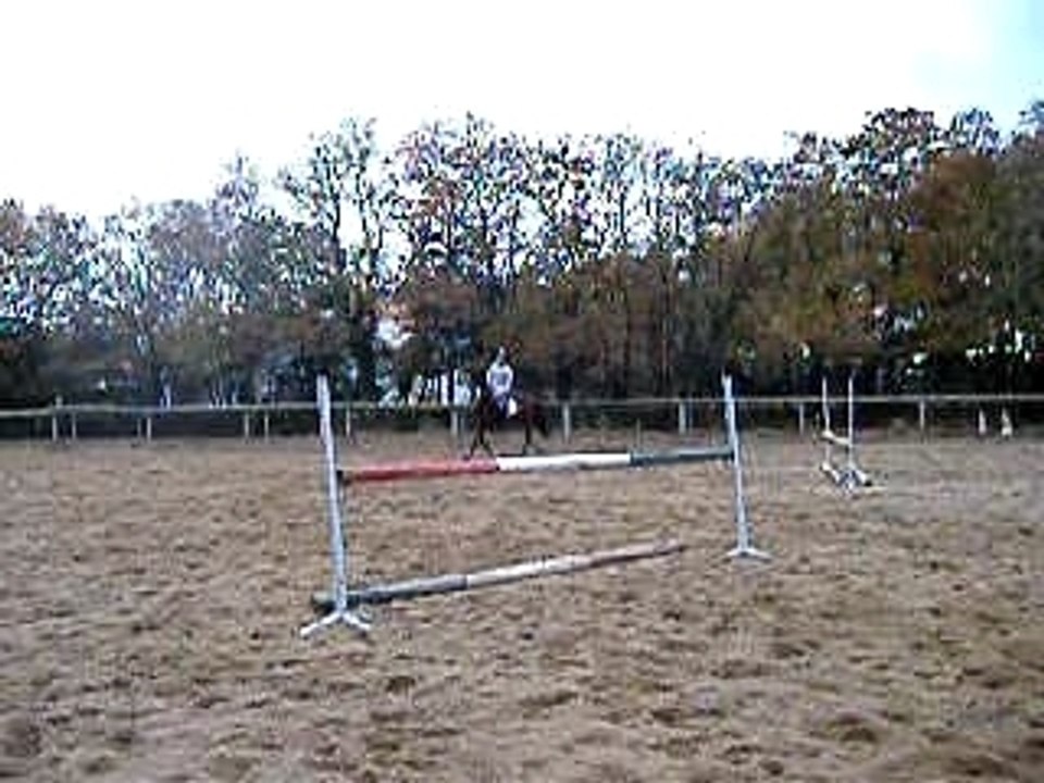 DSCF1854