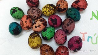 Nhuộm trứng Phục Sinh/trứng khủng long - Easter Eggs Coloring/ dinosaur coloring eggs
