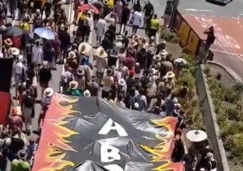 Brisbane Protesters Say Australia 'Always Was, Always Will Be Aboriginal Land'