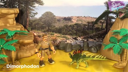 8 MASSIVE DINOSAURS ANIMALS SURPRISE TOYS 3D PUZZLES - T-Rex Tyrannosaurus Carnotaurus Kentrosaurus