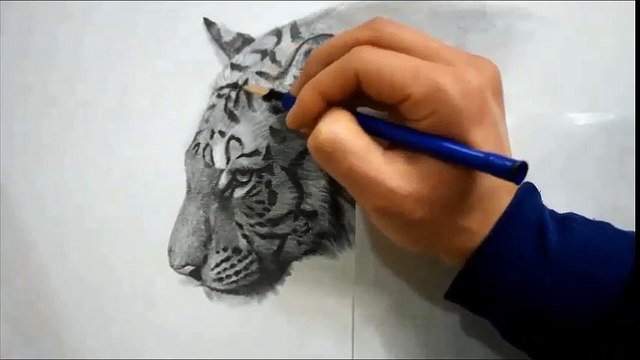 연필그림(Pencil drawing) 호랑이그리기 - How to draw a tiger / speed drawing